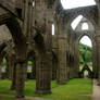 Tintern Abbey 04 Stock