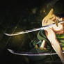 Roronoa Zoro Cover 2 Without Name