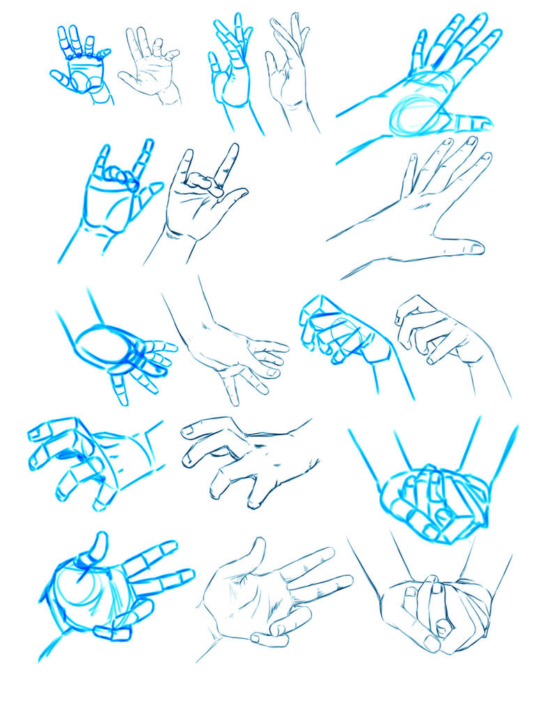 HANDS training by Washu-M