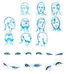 HEAD and EYES angles