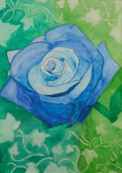 Blue Rose