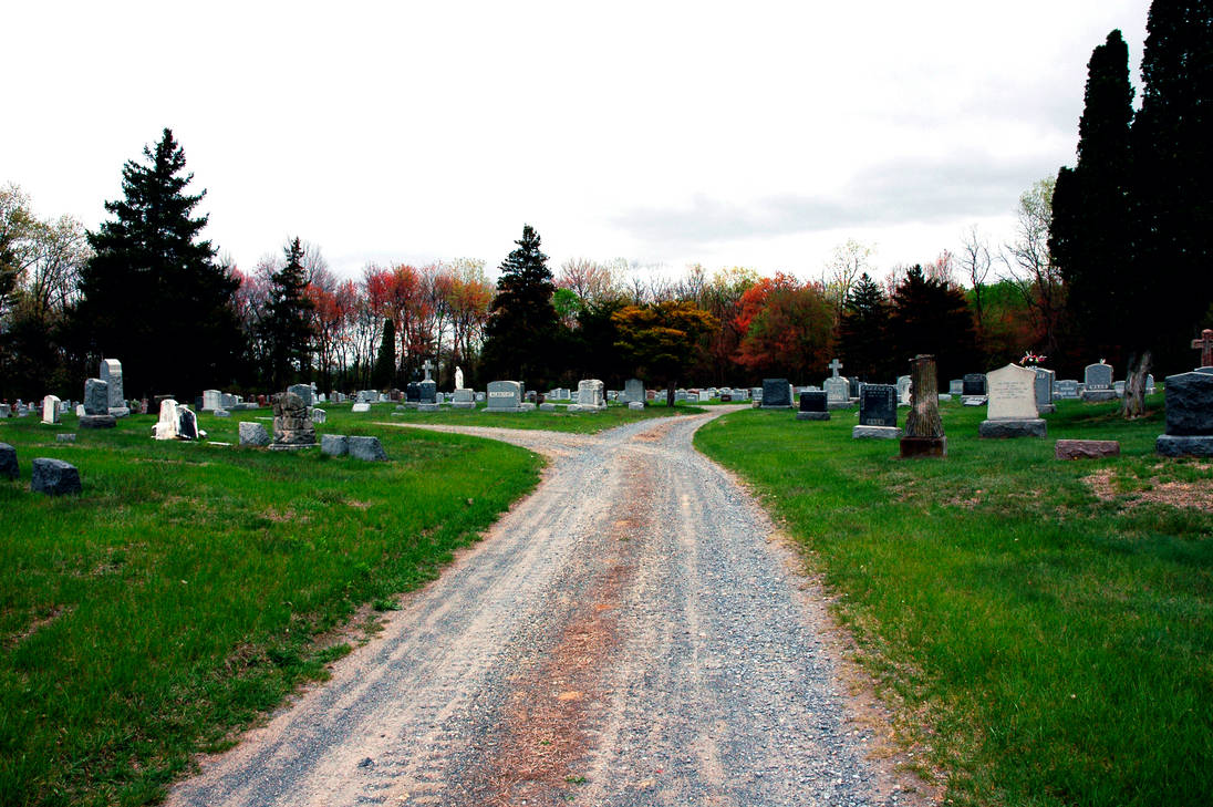 the path not taken by murdermesoft on DeviantArt