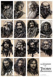 the Company of Thorin Oakenshield