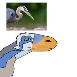 Great Blue Heronychus