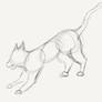 Cat base sketch