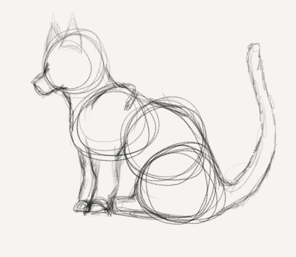 Cat base sketch