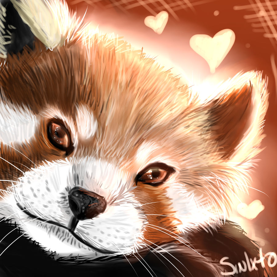 Red Panda