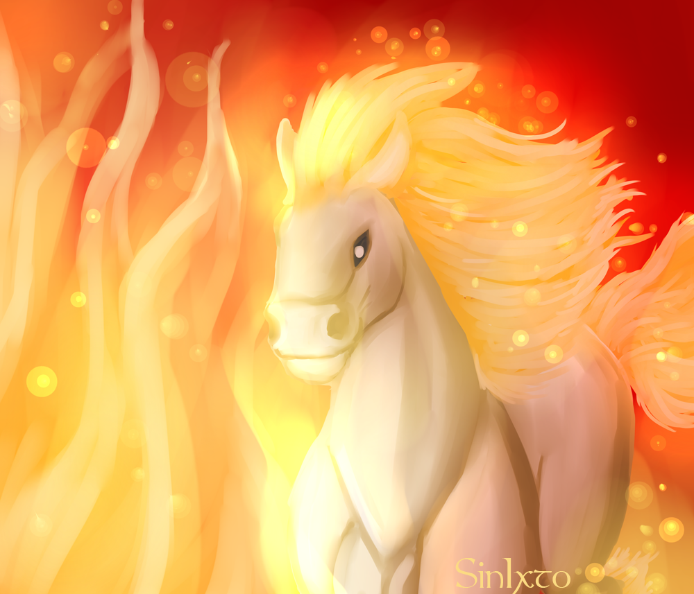 ponyta