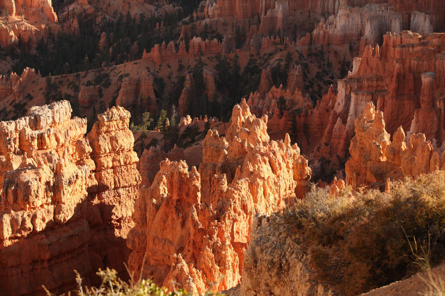 Inspiration Point