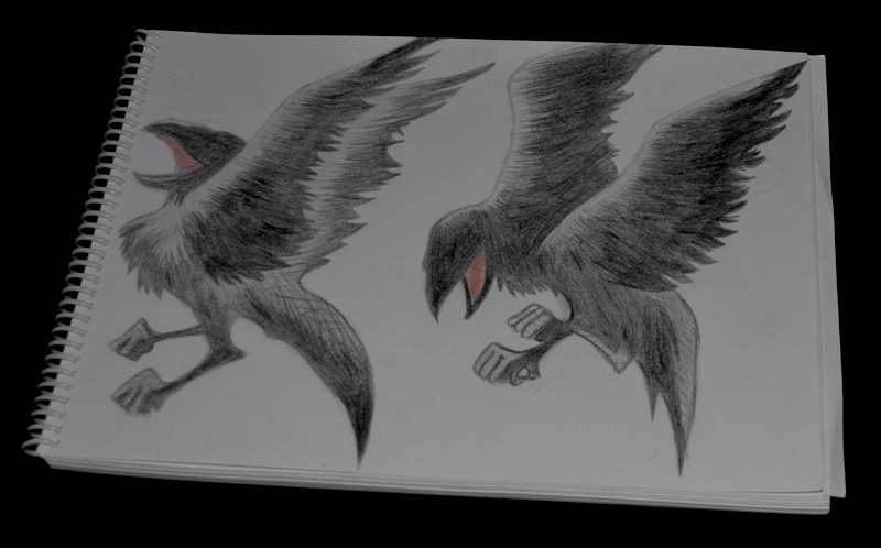 Hugin and Munin