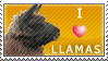 I :heart: Llamas