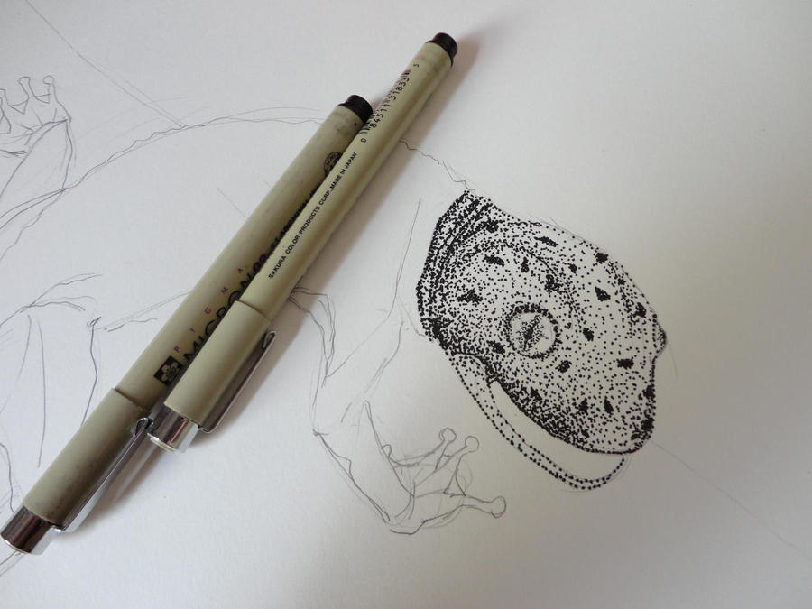 Gecko Process by nanchino on DeviantArt