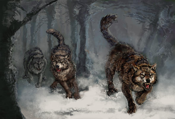Wolves by thegryph on DeviantArt
