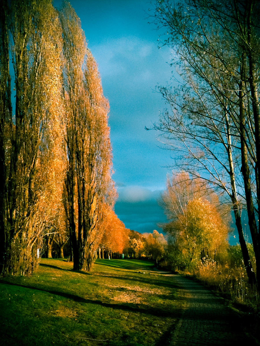 Surreal Rhine III by unityofmulti