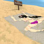 Beach Plans Fall Flat