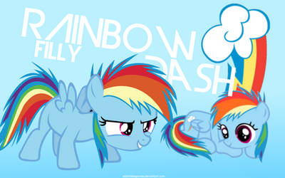 Filly Rainbow Dash Wallpaper