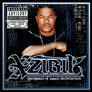 Xzibit- Weapon Of Mass Destruction 