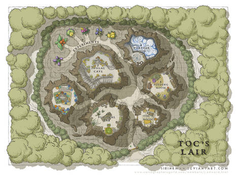 Wizards Academy - Toc's Lair