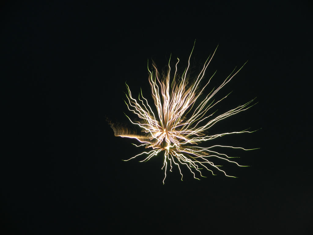 i see a flower in the firework
