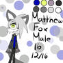 Matthew The Fox