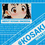 Cover Facebook Nisekoi