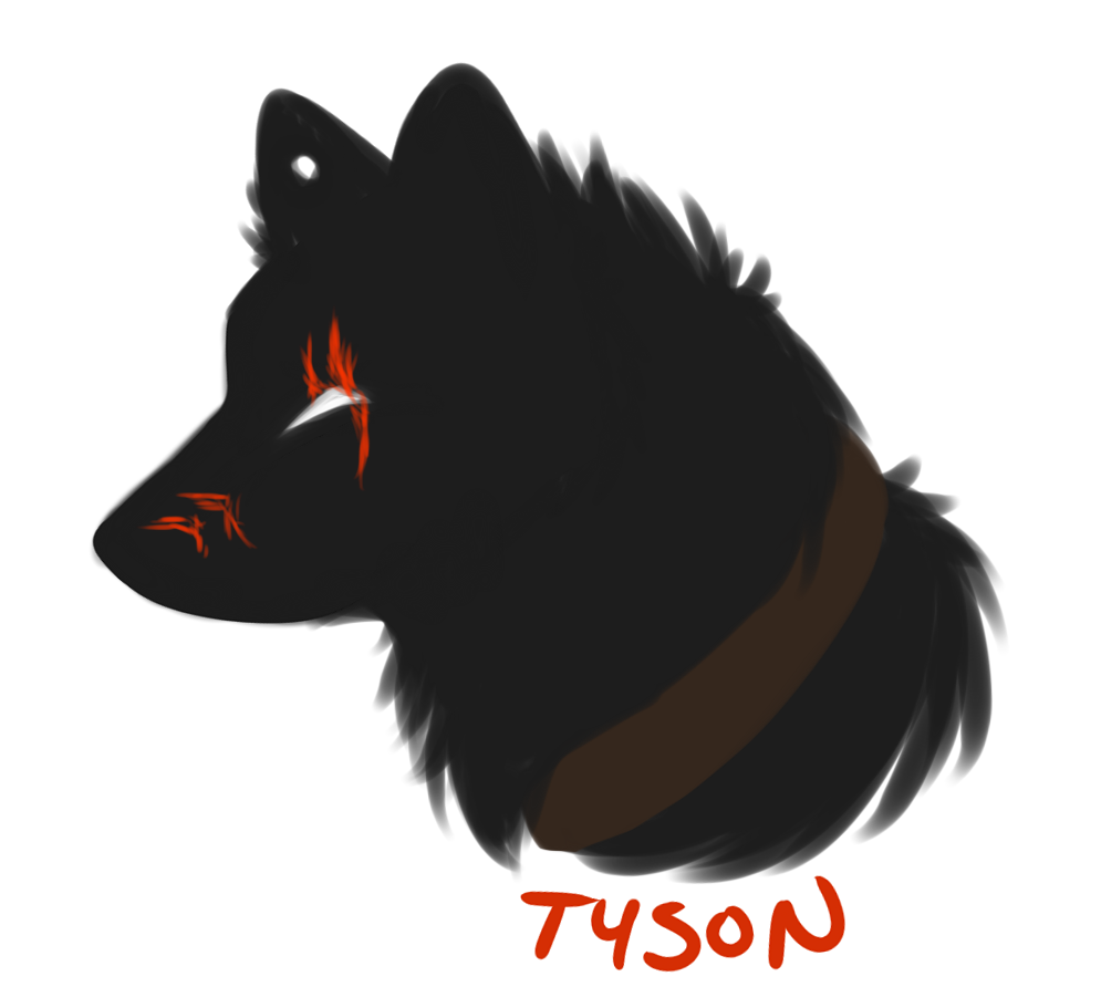 fluffy headshot - tyson