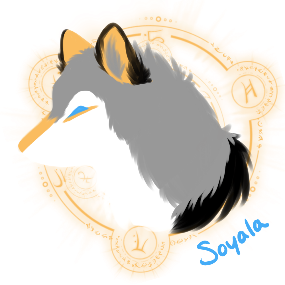 fluffy headshot - soyala