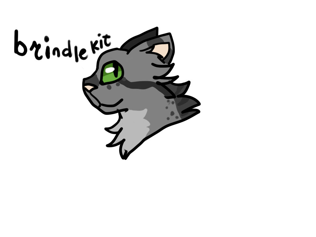 Brindlekit Brindlekit by ToothlessTDM on DeviantArt