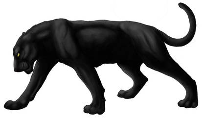 Panther