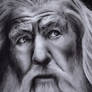 Gandalf the Grey