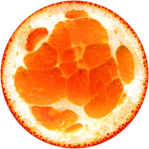 orangeSlice1