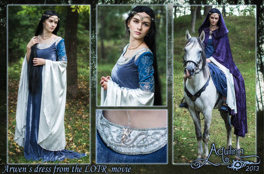 Arwen's Requiem dress cosplay, 2013