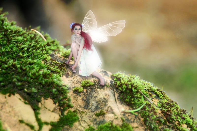 Little fairy on a rock