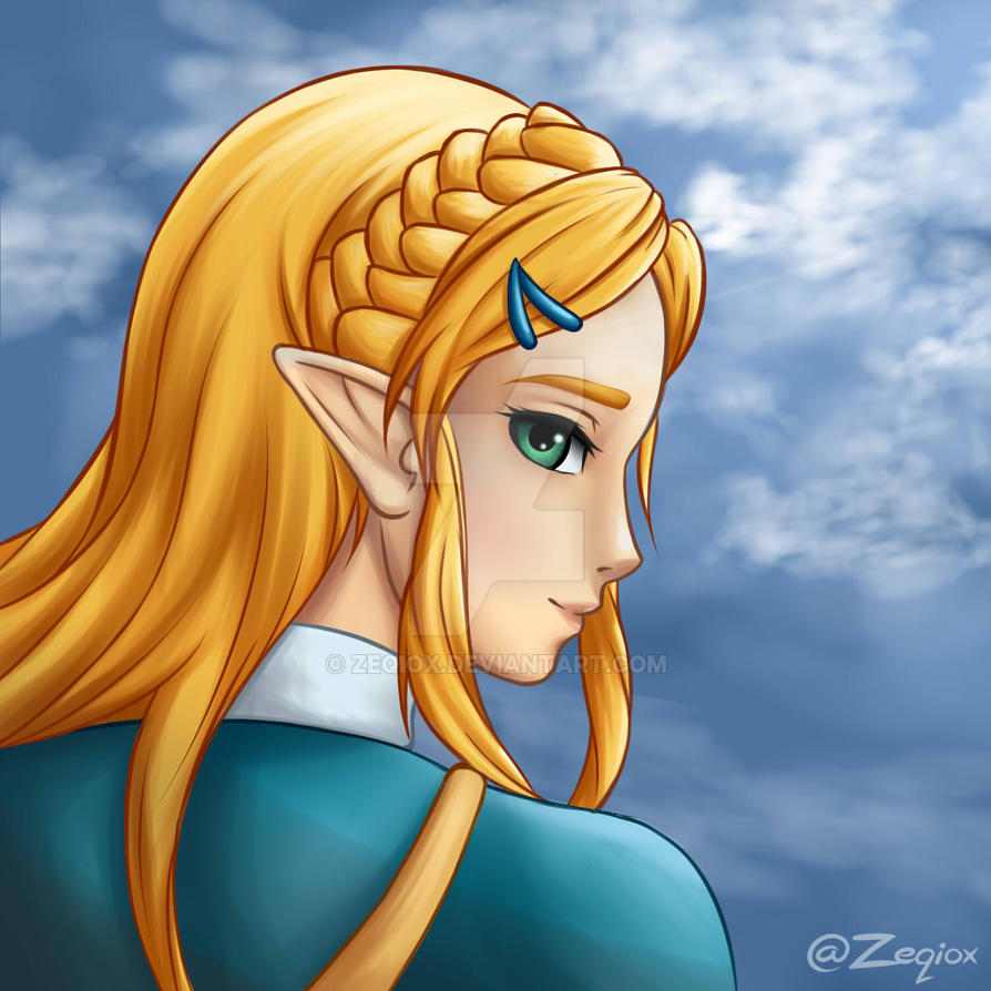 BotW - Princess Zelda by Zeqiox on DeviantArt.