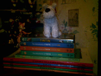 My Tintin Stuff