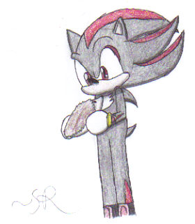 Shadow x Hedgehog