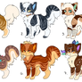 Cat Adoptables (OPEN) REDUCED PRICE