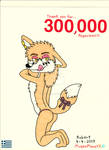 Thank you for 300,000 Pageviews!!!