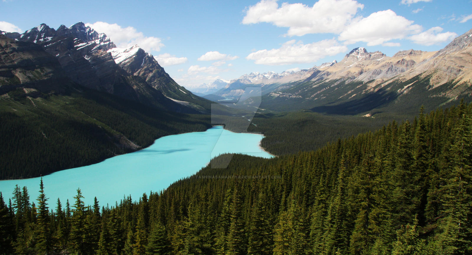 Peyto Lake