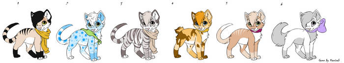 Kittycat Point Adopts Batch 9 CLOSED