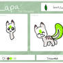 Lapa Reference Sheet 2O13