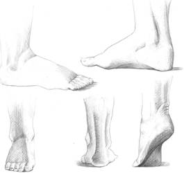 Foot study