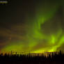 The Northern Lights