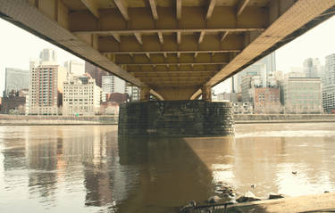 Roberto Clemente Bridge Belly