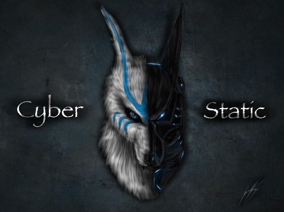 cyber static