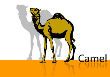 Camel in Vector