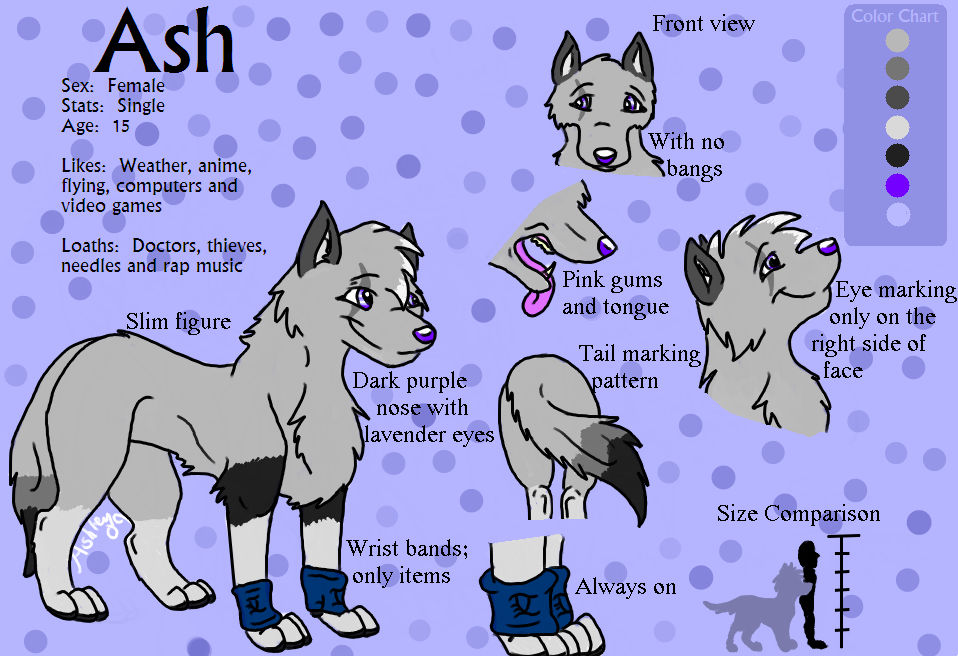 Ash Refrence Ash Refrence Sheet '09 by Rinzydings on DeviantArt