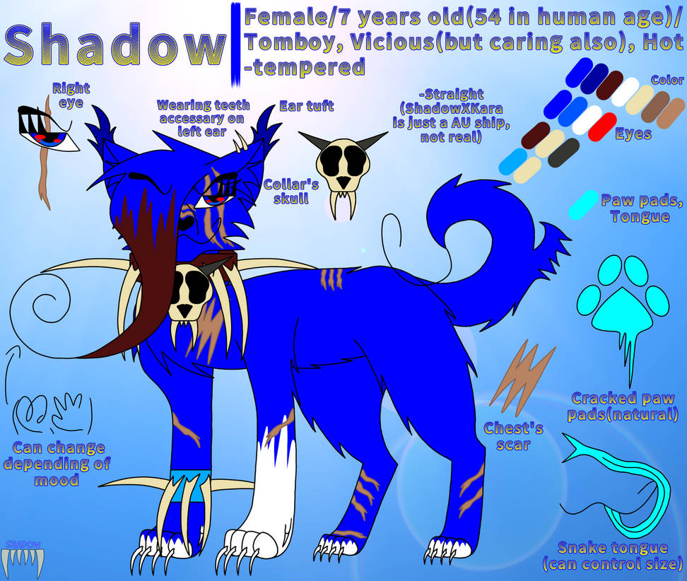 Shadow Reverse Lineage 2023 NEW Shadow ref by ShadowTheLeader on DeviantArt