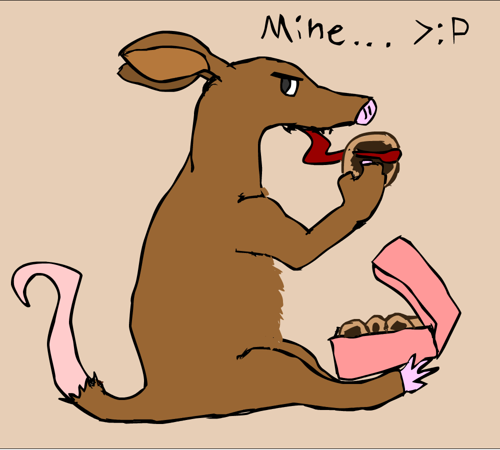 Aardvarks Love Donuts