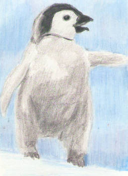 Emperor Penguin Chick